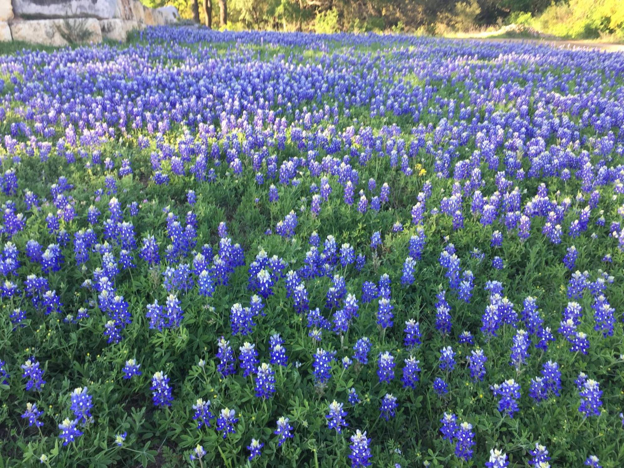 V700 Ranch Stays Marble Falls Kültér fotó