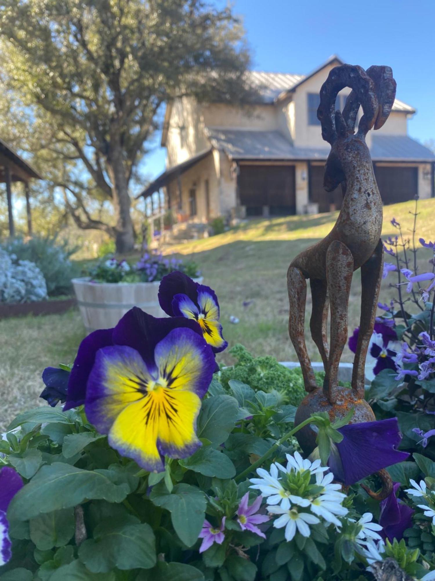 V700 Ranch Stays Marble Falls Kültér fotó