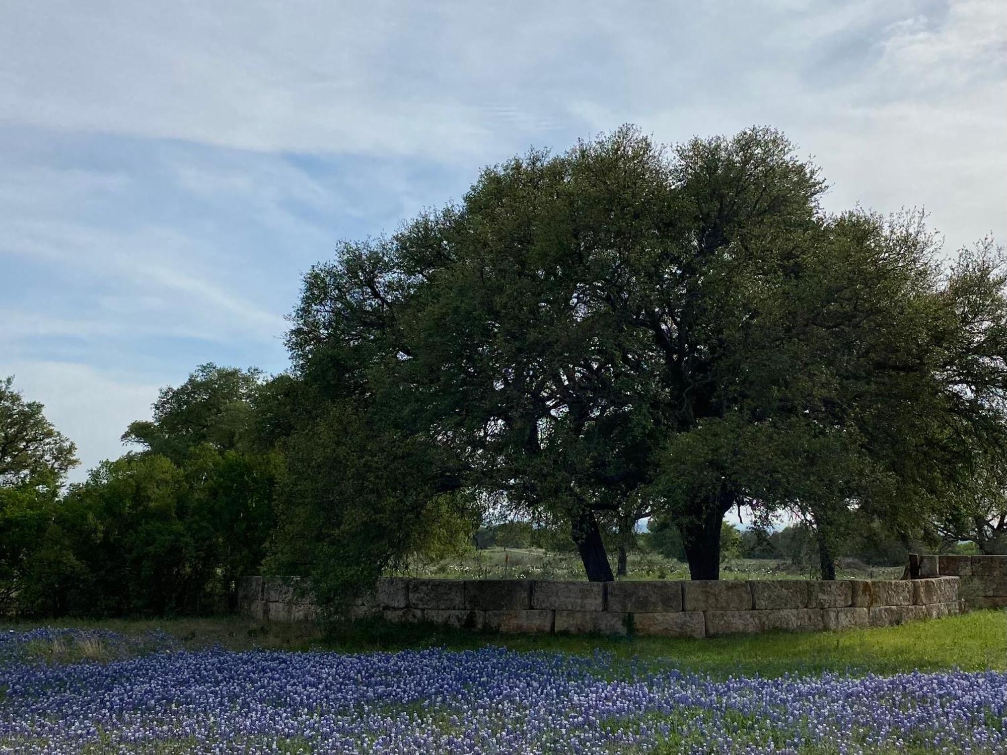 V700 Ranch Stays Marble Falls Kültér fotó